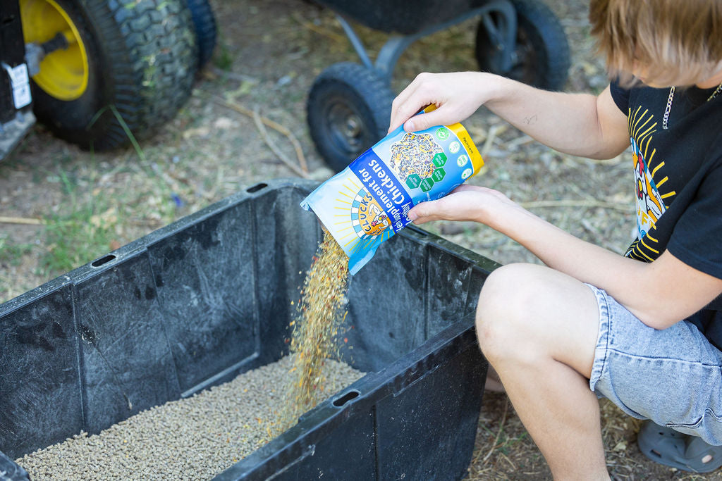 Herb Supplement For Backyard Chickens